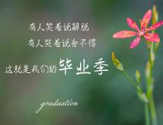 开云体育入口-铁幕之下，谁主沉浮？武切维奇如何以沉默的指挥撕裂浙江队的钢铁防线