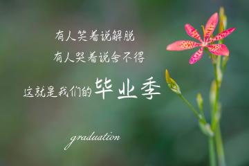 开云体育入口-铁幕之下，谁主沉浮？武切维奇如何以沉默的指挥撕裂浙江队的钢铁防线