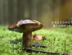 开云体育入口-星光与洪流，拉梅洛生涯之夜难阻北京横扫国王