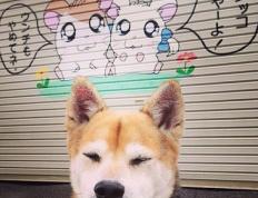 开云体育登录-哈利伯顿冷静绝杀！雷霆末节逆转热火，惊险守住主场