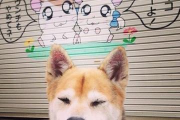 开云体育登录-哈利伯顿冷静绝杀！雷霆末节逆转热火，惊险守住主场