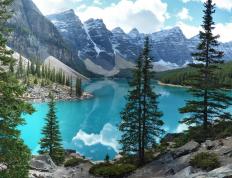 开云体育官方网站-迪巴拉魔幻舞步撕裂防线！墨西哥悬崖边险胜，安哥拉只差毫厘