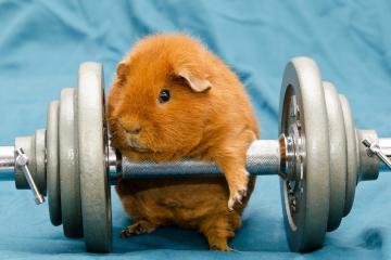 开云官网-英格拉姆燃爆全场，爵士篮网上演巅峰对决