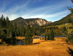 开云体育平台APP-关键先生降临！乔治致命一击助篮网加时苦战掀翻尼克斯