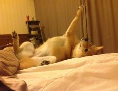 开云体育app-法比尼奥冠军级表现闪耀中场，埃及硬仗中坚韧取胜牙买加