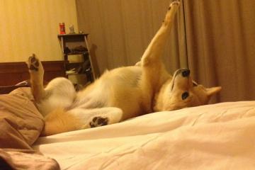 开云体育app-法比尼奥冠军级表现闪耀中场，埃及硬仗中坚韧取胜牙买加