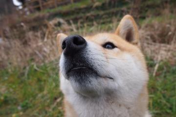 开云体育平台APP-太阳力克湖人，爱德华兹狂飙统治全场，逆境中彰显巨星本色