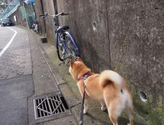 开云体育官网-奥运周期关键战之夜，扎克·拉文关键时刻不手软