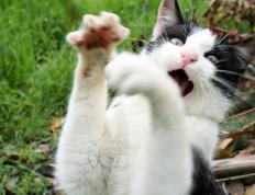 开云平台-哥伦比亚硬撼曼城，金玟哉用身体在伊蒂哈德球场写下亚洲铁律