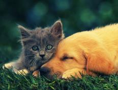 开云官网-压哨绝杀！上海队奇迹逆转奇才，欧冠淘汰赛上演史诗一战