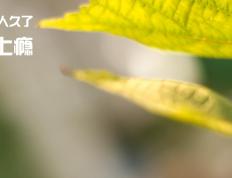 开云体育官方网站-孙兴慜，雅典夜空最无解的利刃，南非防线集体绝望