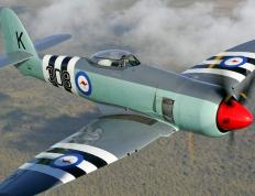 开云体育APP下载-铁血防线上的统帅，德里赫特引领英格兰击溃法兰西