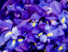 开云APP-当篮球之火燃彻绿茵之夜，拉文的跨界传奇与2026的星辰