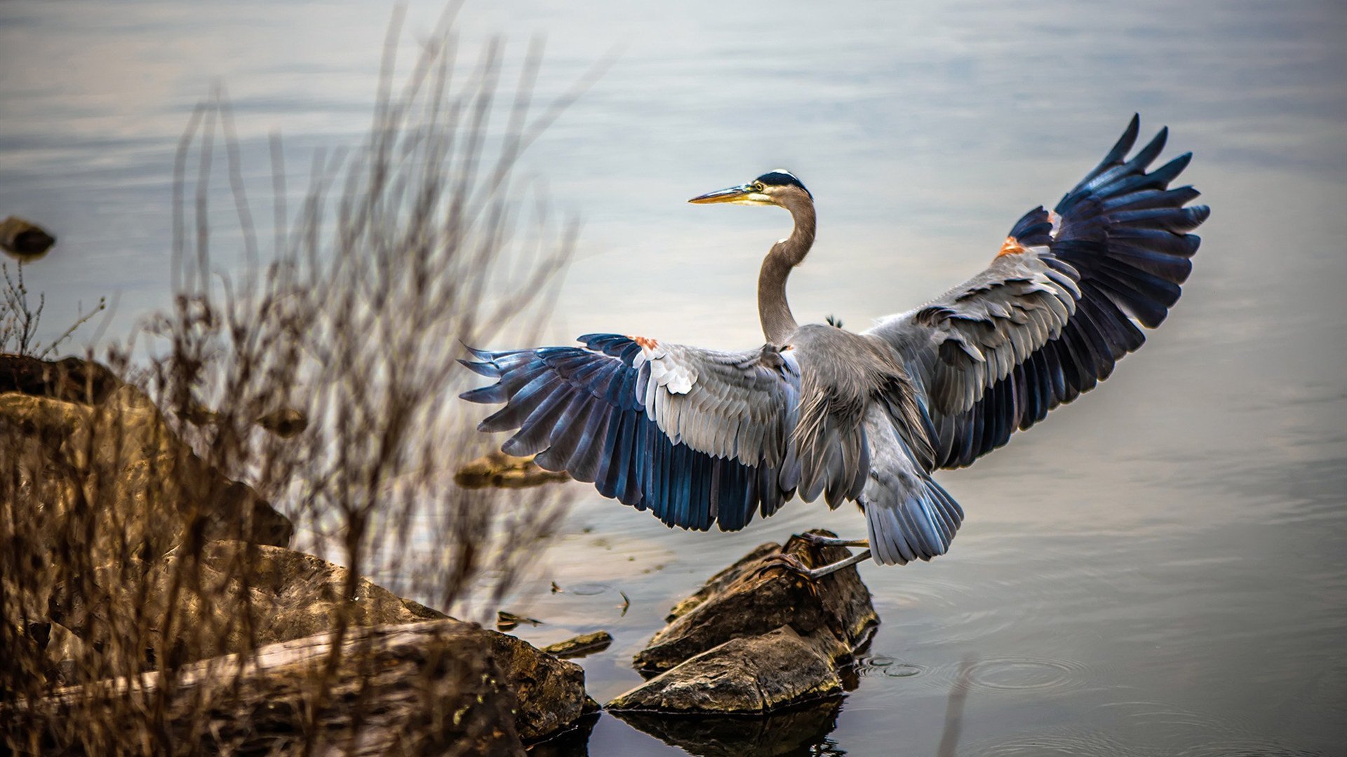 开云体育下载-休斯敦洪流与金州利刃，当体系压制遇见无解单打