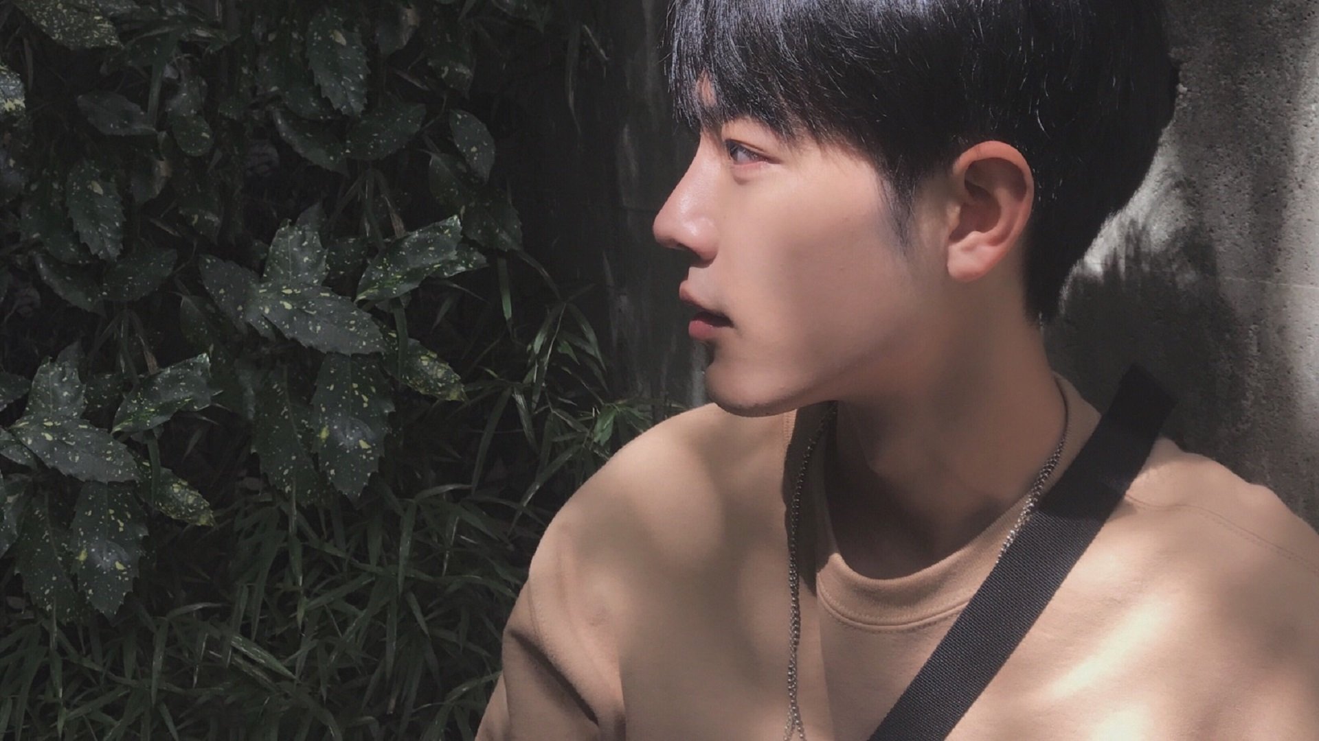 开云体育下载-多特蒙德对阵波兰，阿拉巴存在感拉满的足球盛宴