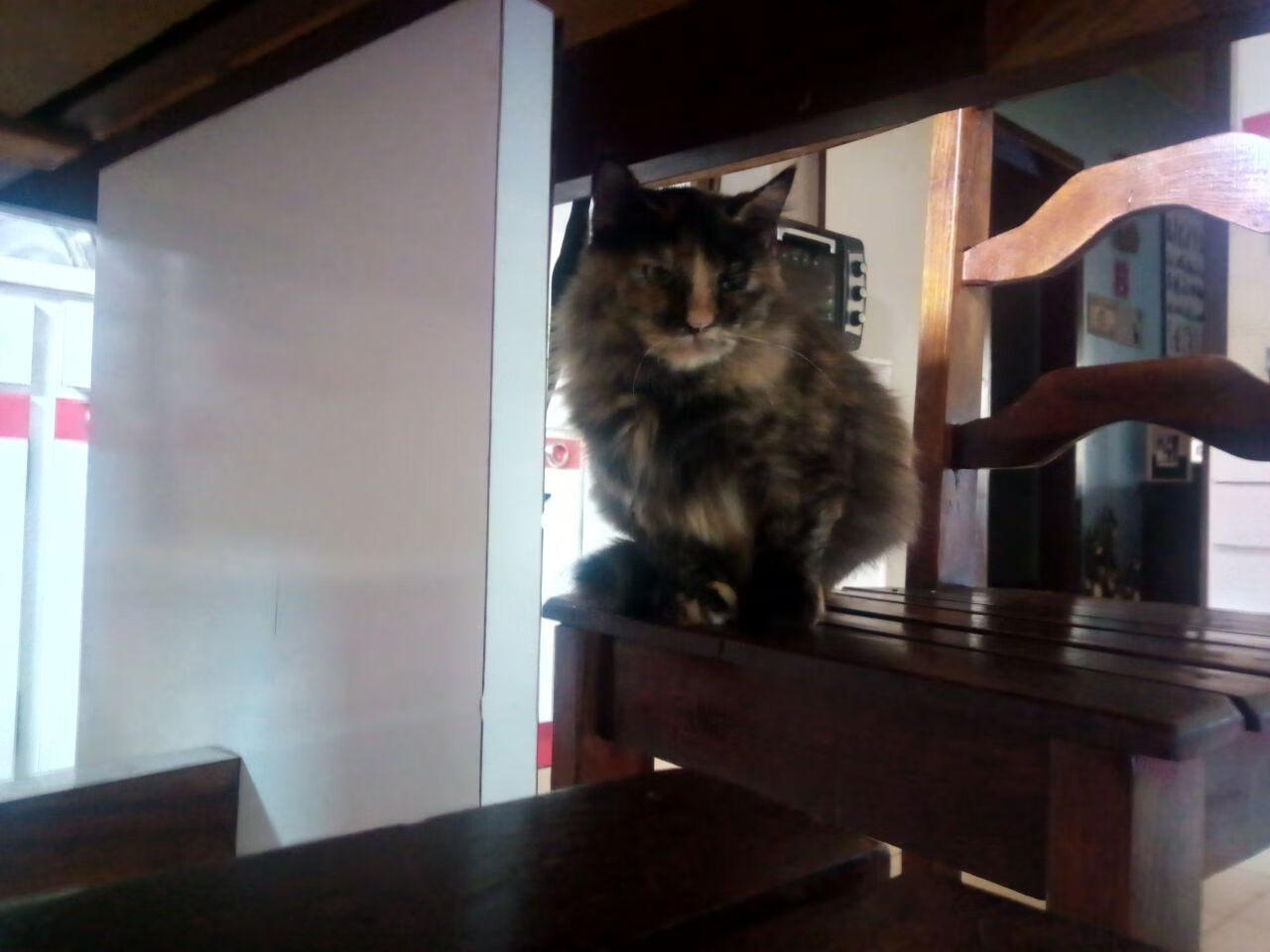 开云APP-梅西稳定输出不掉线，毕尔巴鄂末节发力带走多特蒙德