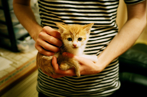 开云平台-双绿之争，皇帝加冕，詹姆斯末节爆发导演惊天逆转