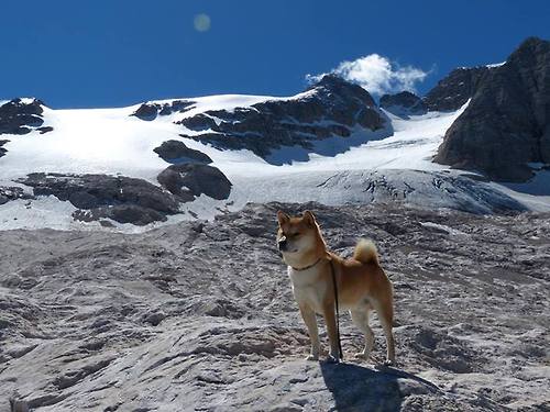 开云体育官方网站-当巨兽苏醒,欧冠之夜,哈兰德点燃的不只是赛场