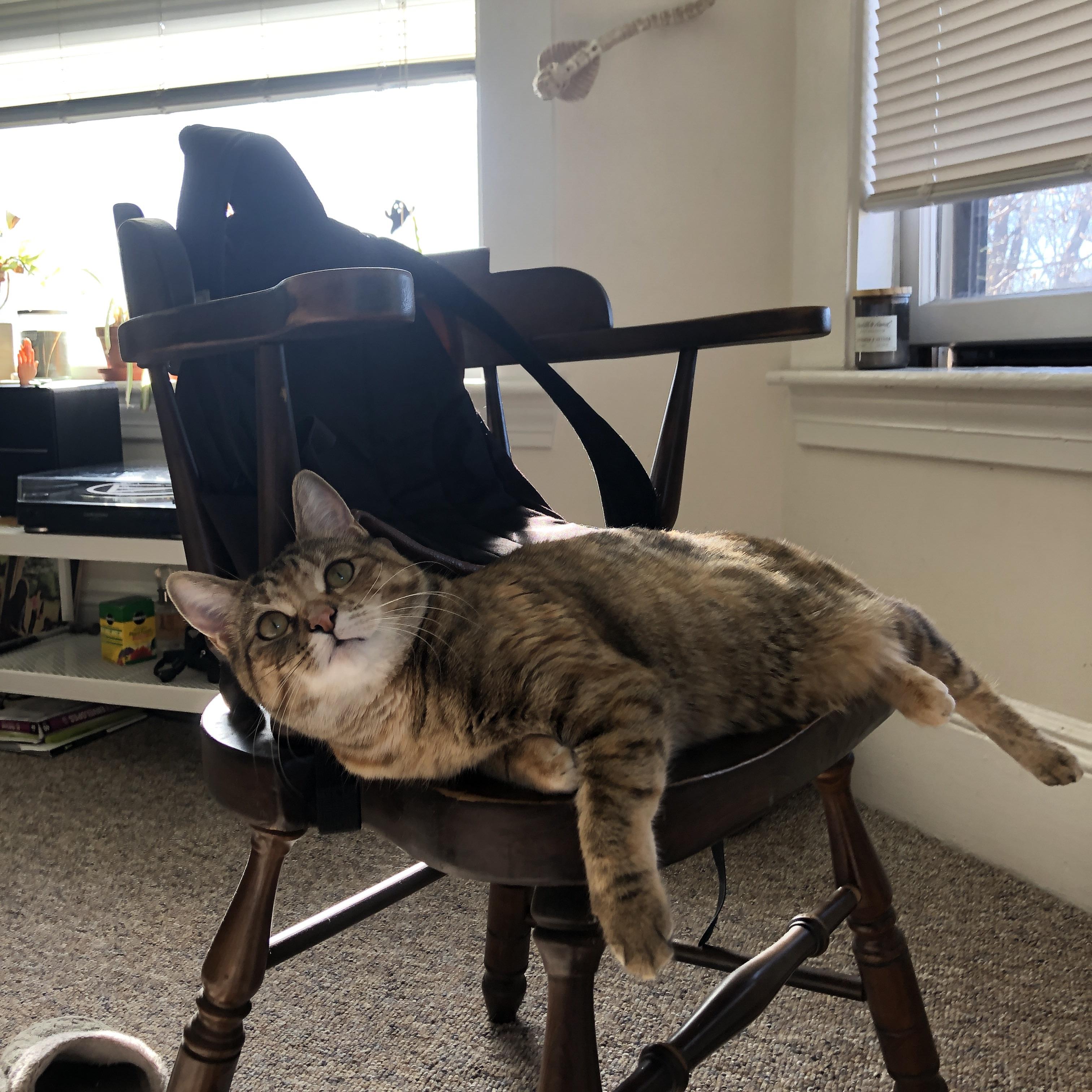 开云体育下载-跨越球场的英雄时刻，从尤文单节锁定胜局到罗德里戈欧冠封神