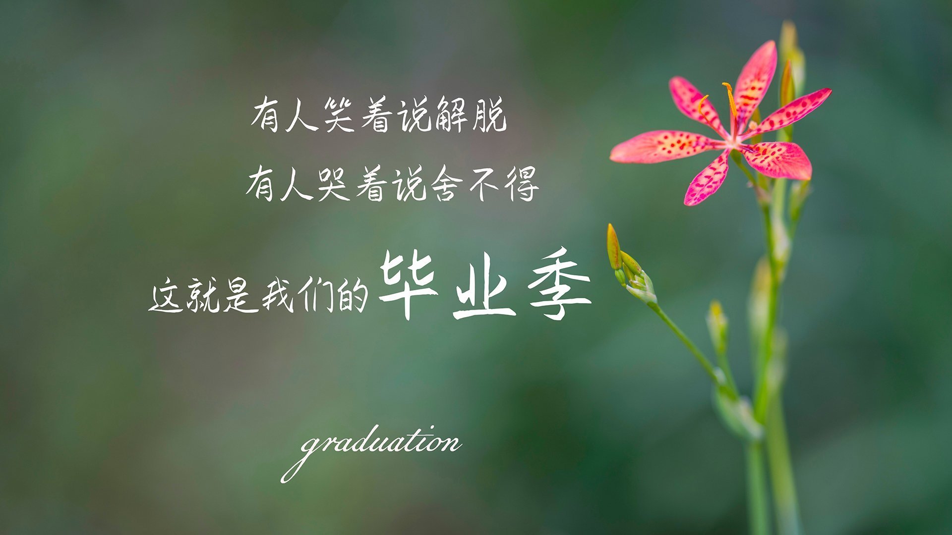 开云体育登录-风暴眼与破碎者,武切维奇的统治力与雷霆的毁灭美学