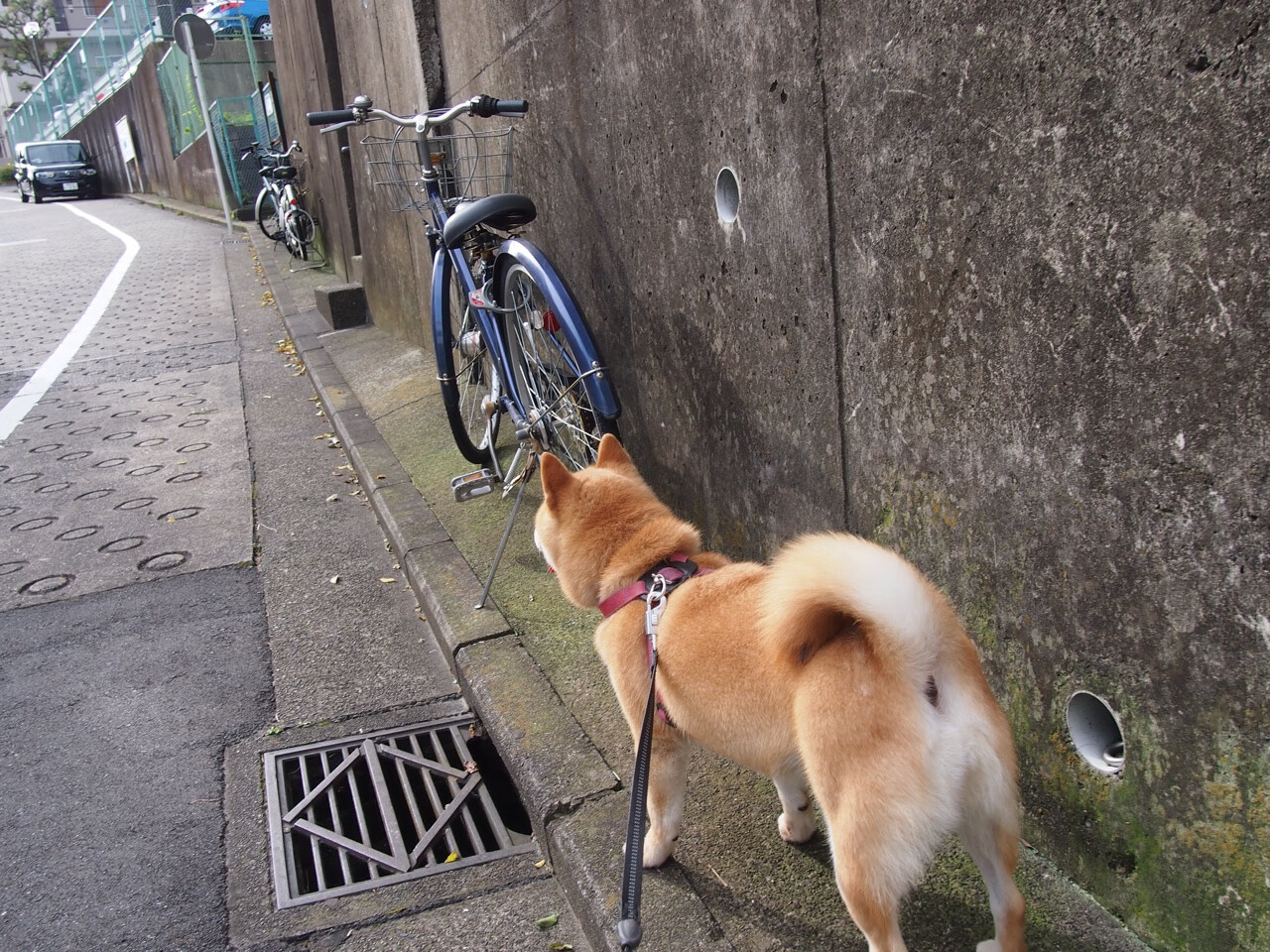 开云官网-魔术打穿新疆队!詹姆斯化身关键先生掌控比赛