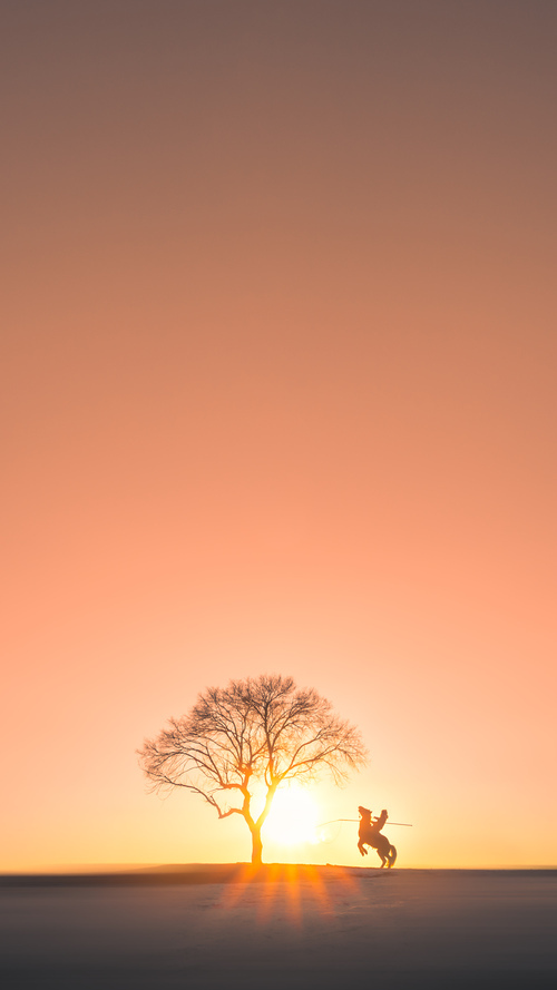 开云APP-抢七之夜的终结者，小贾伦·杰克逊让比赛悬念提前落幕