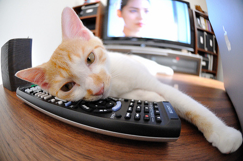 开云官网-绿茵铁律,南粤惊雷,当欧冠的残酷哲学照进广东德比