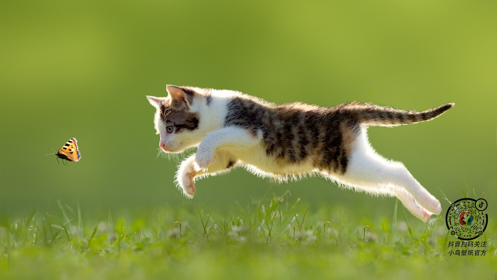 开云体育官网-布伦森化身纽约之王,一人肢解深圳队钢铁防线!