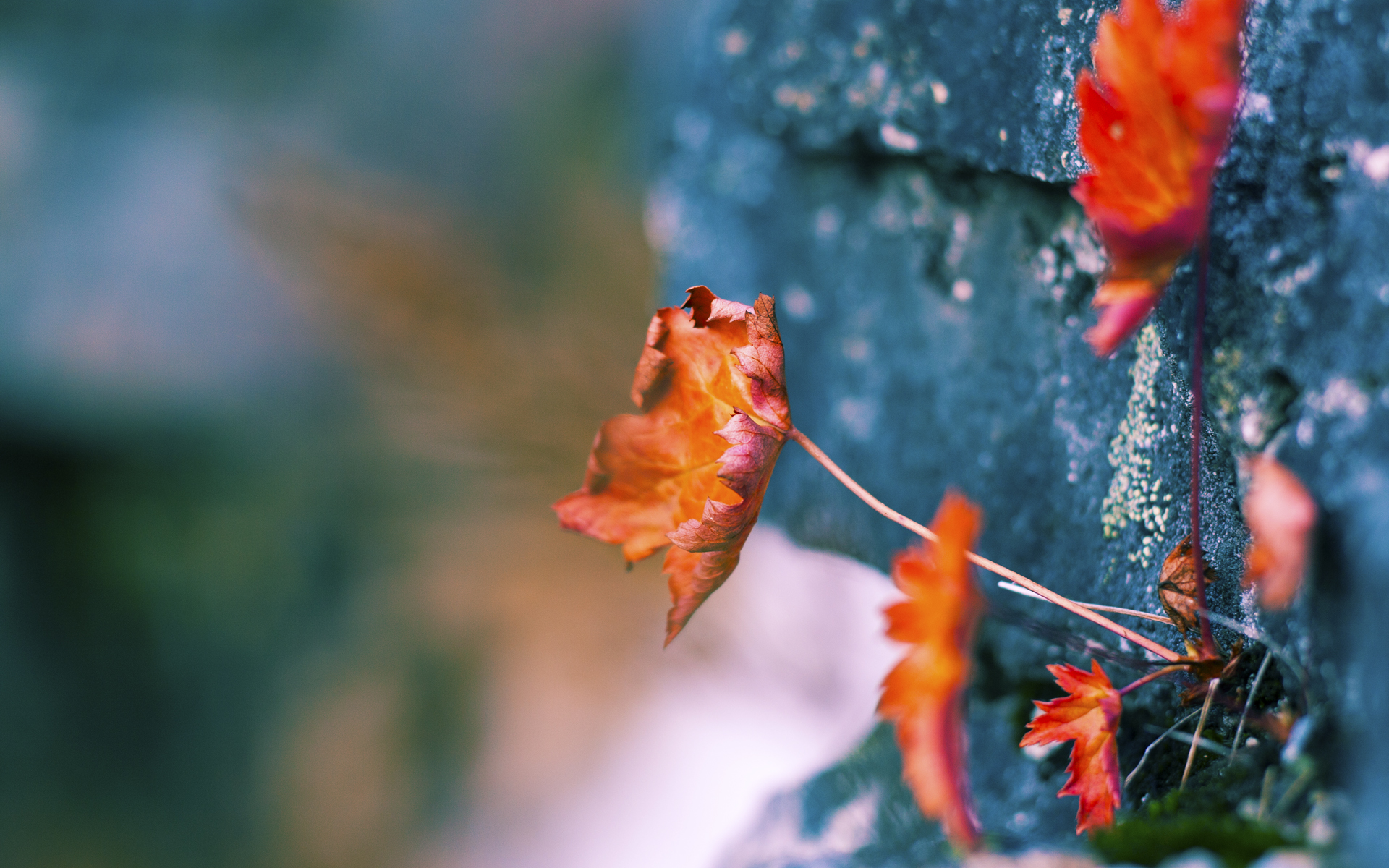 开云体育中国-得分狂潮贯穿全程，西亚卡姆如何导演机械洪流击溃76人？